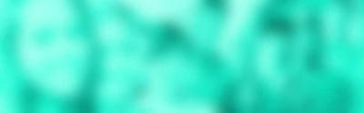 bannerimg02.jpg